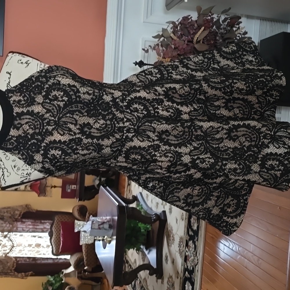 Windsor Black Lace Overlay Mini Dress with Nude Lining